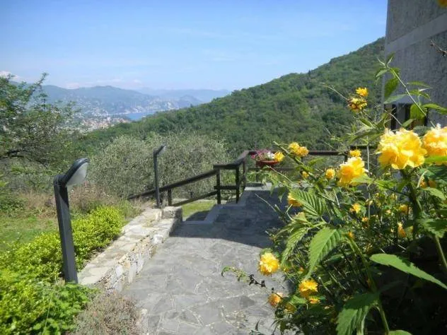 Villetta a schiera in vendita a Santa Margherita Ligure - San Lorenzo Della Costa - foto 9