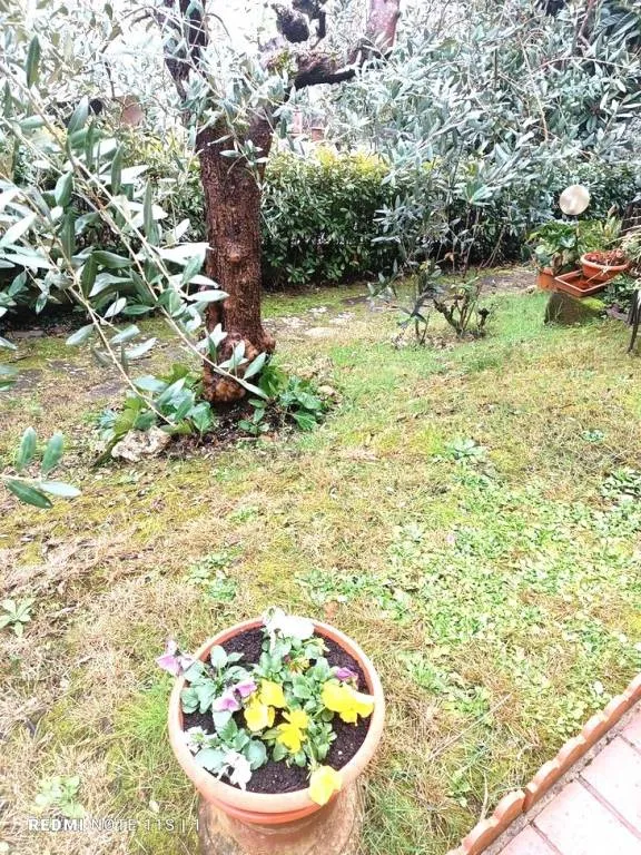 Villa in vendita a Carmignano - Comeana - foto 4