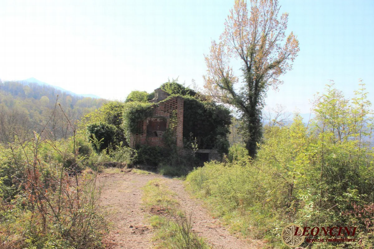 Rustico in vendita a Villafranca in Lunigiana - Irola - foto 10