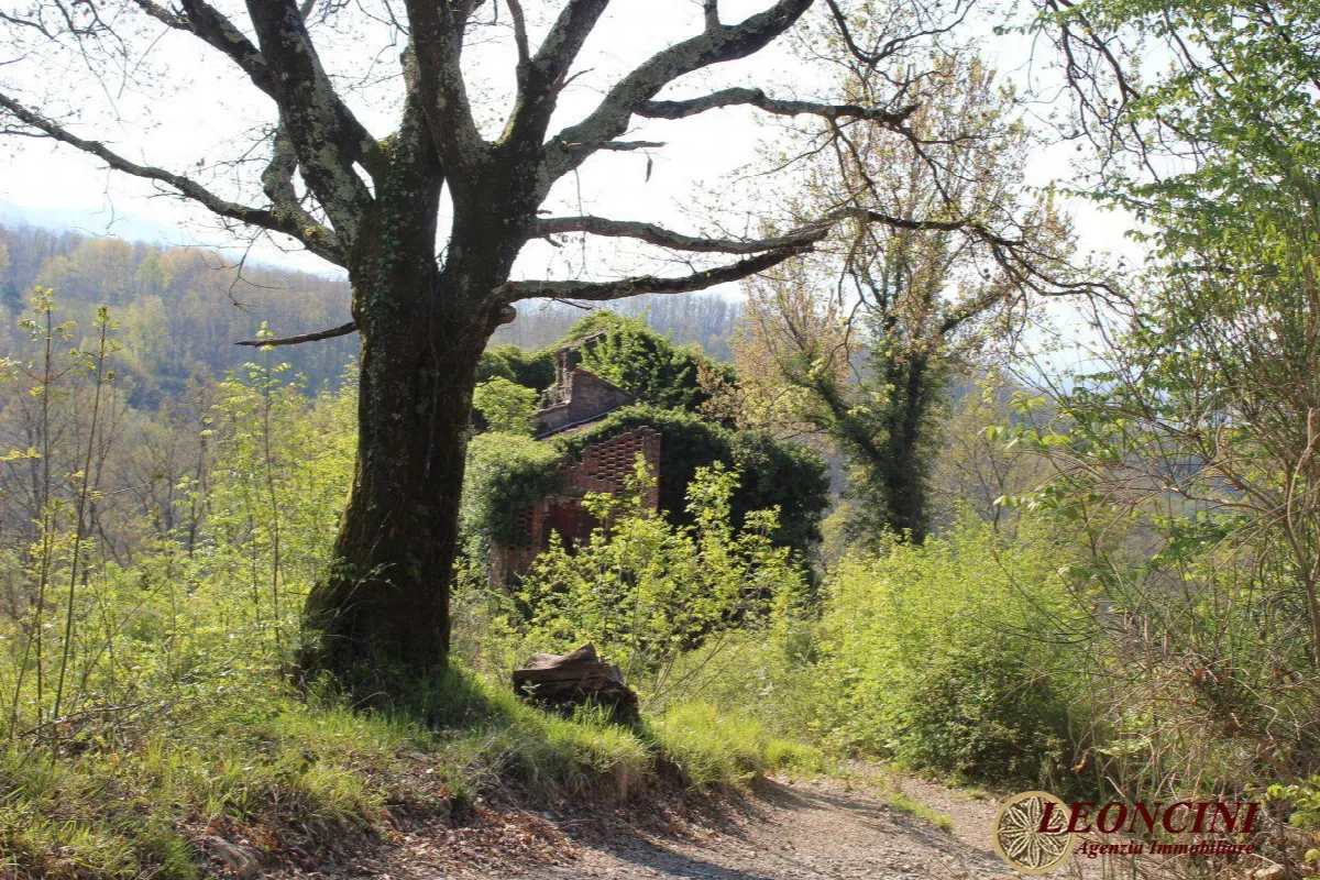 Rustico in vendita a Villafranca in Lunigiana - Irola - foto 2