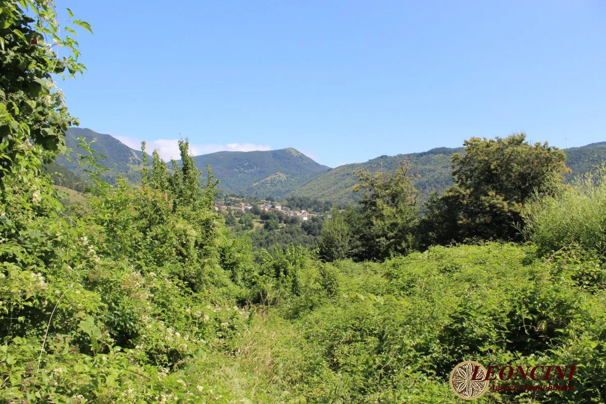 Rustico in vendita a Zeri - Coloretta - foto 9