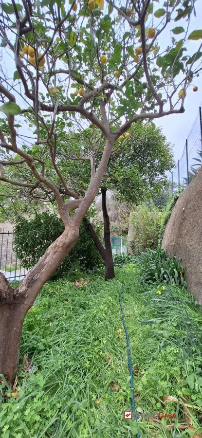 Casa indipendente in vendita a Messina - foto 3