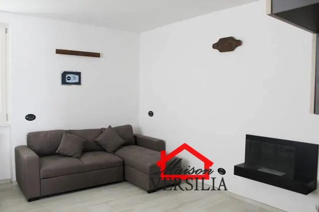 Casa indipendente in vendita a Forte dei Marmi - Vittoria Apuana - foto 2