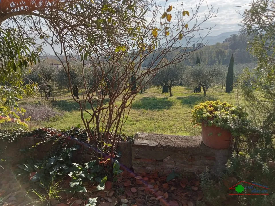 Rustico in vendita a Capannori - foto 10