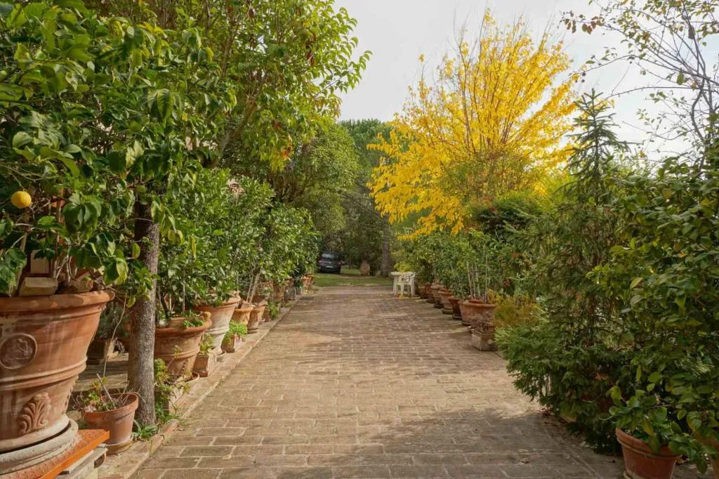 Rustico in vendita a Perugia - Monteluce, Ponte Rio, Montelaguardia, Casaglia, P - foto 8