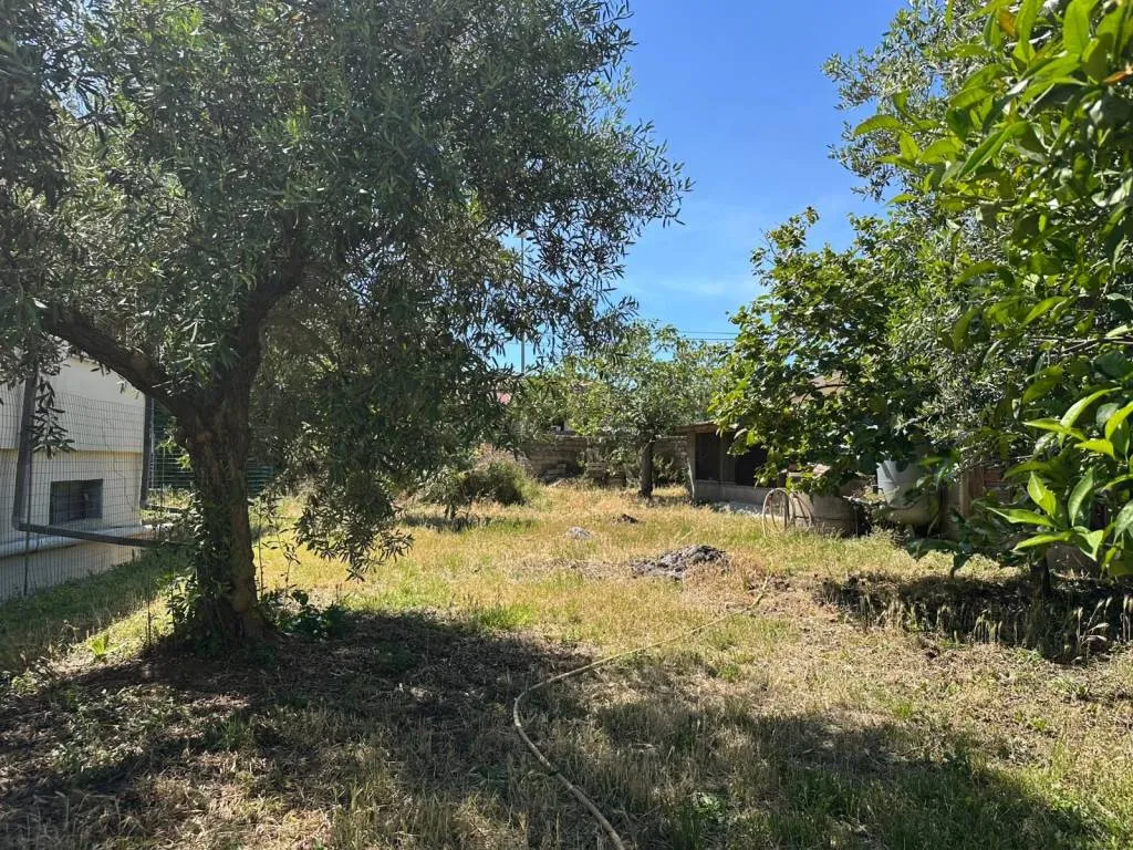 Villa in vendita a Anzio - Falasche, Armellino, Rinascimento, Stazione Lavin - foto 9
