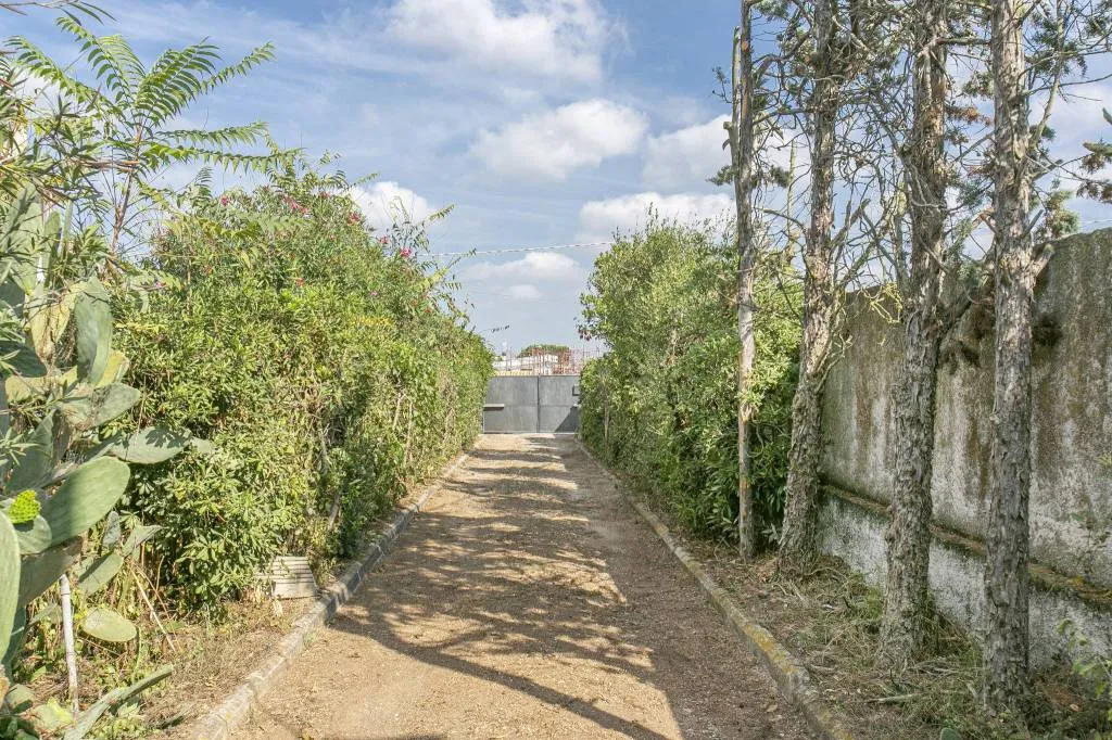Villa in vendita a Anzio - Falasche, Armellino, Rinascimento, Stazione Lavin - foto 3