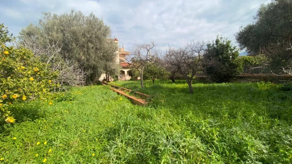 Villa in vendita a Carini - Villagrazia di Carini - foto 6