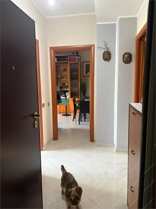 Appartamento in vendita a Sesto San Giovanni - foto 7