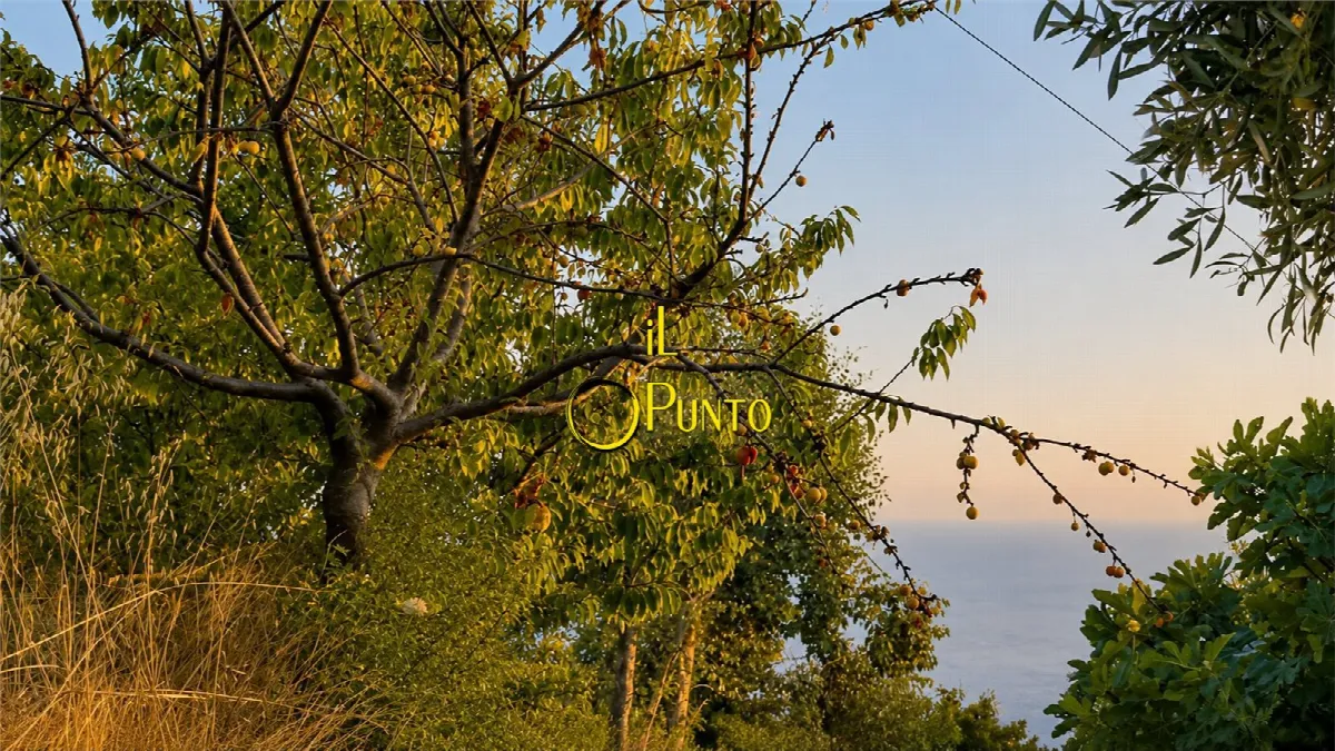 Rustico in vendita a Sanremo - foto 3