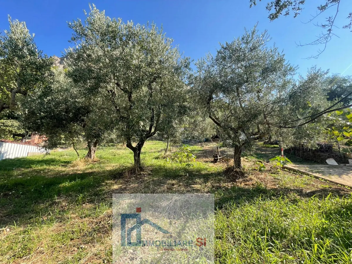 SEMINDIPENDENTE in vendita a Foglianise, Palazzo - foto 5