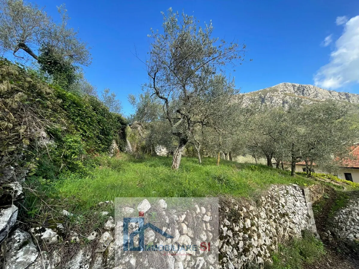 SEMINDIPENDENTE in vendita a Vitulano - foto 2