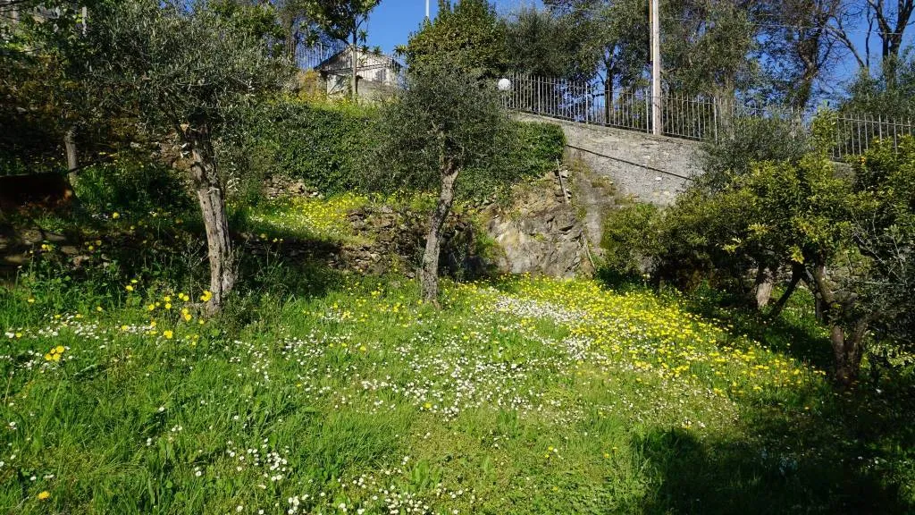 Villa in vendita a Rapallo - San Michele di Pagana, Costaguta - foto 7