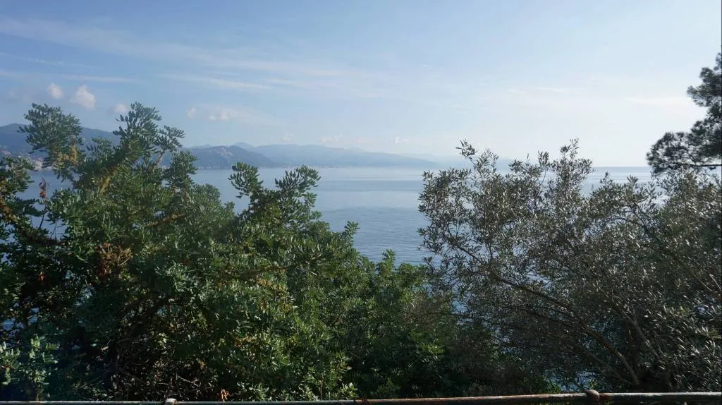 Appartamento in vendita a Santa Margherita Ligure - Pedale - foto 8