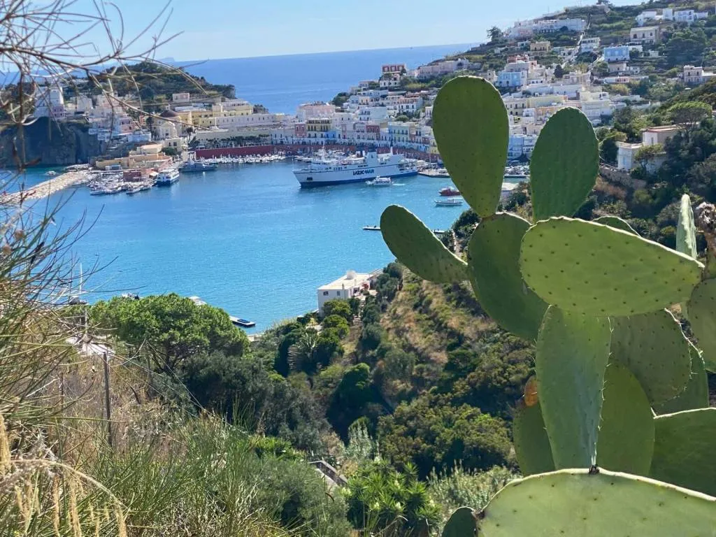 Casa indipendente in vendita a Ponza - Centro - foto 1