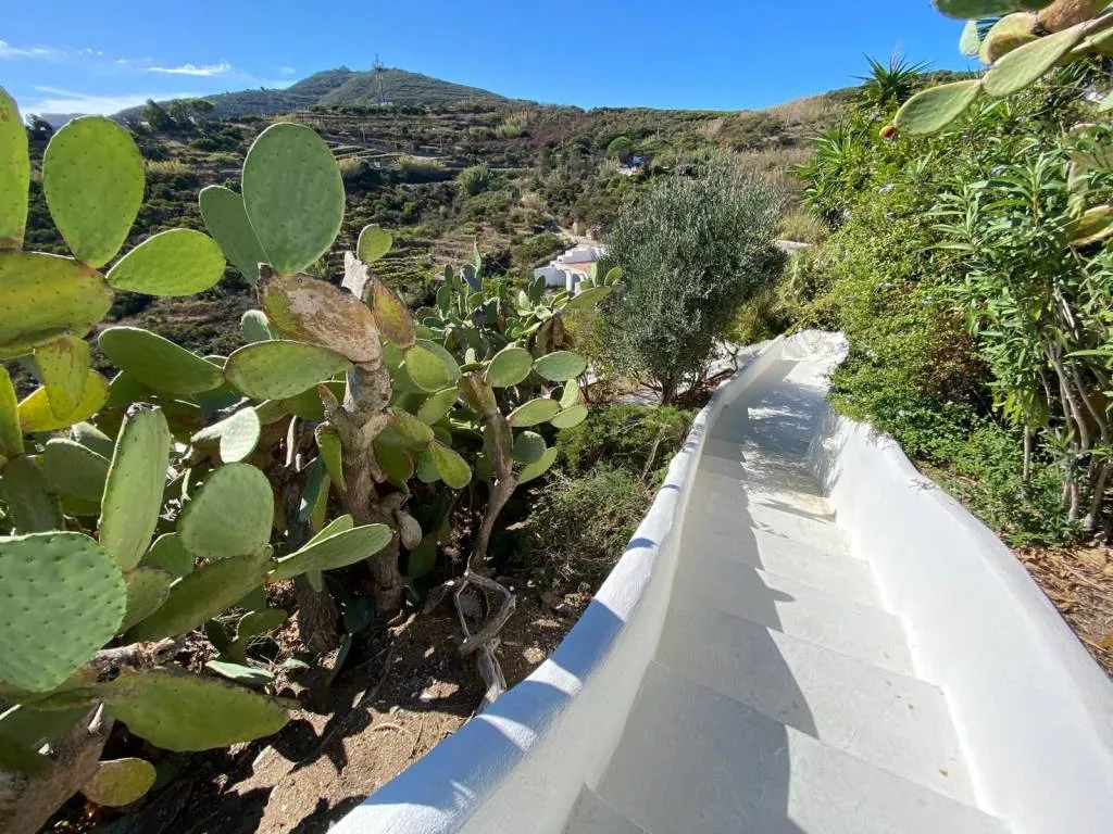 Casa indipendente in vendita a Ponza - Centro - foto 5