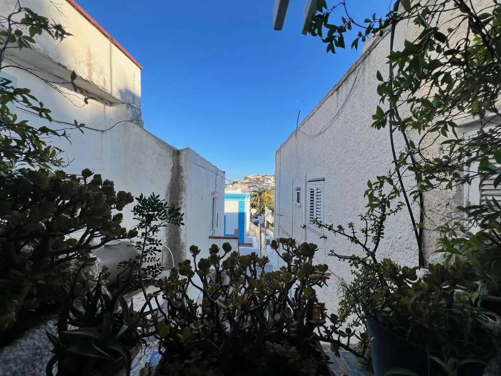 Appartamento in vendita a Ponza - Centro - foto 5