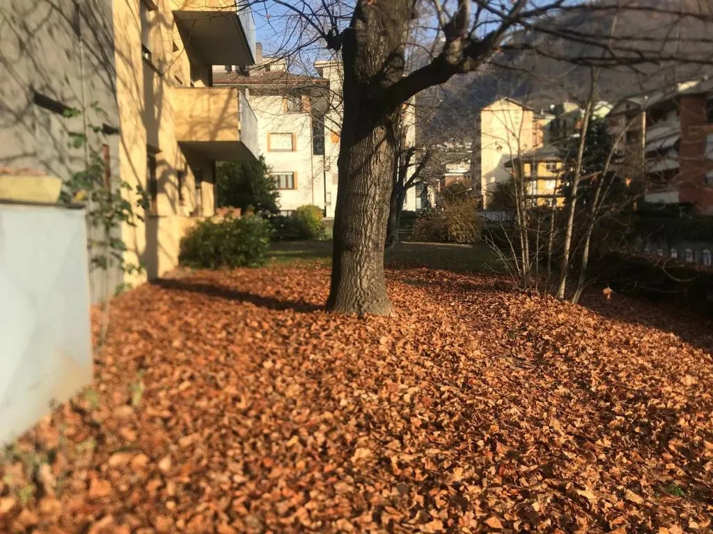 Appartamento in vendita a Sondrio - Centro - foto 4