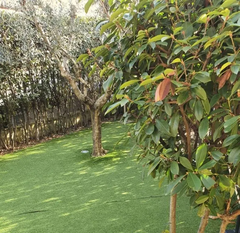 Villa in vendita a Carmignano - Seano - foto 1