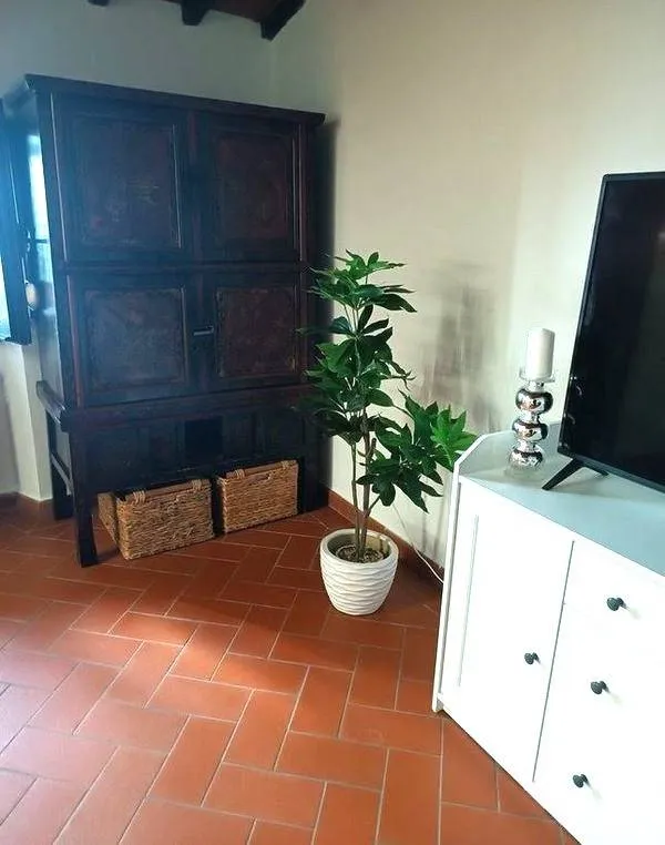 Casa indipendente in vendita a Carmignano - Centro - foto 7