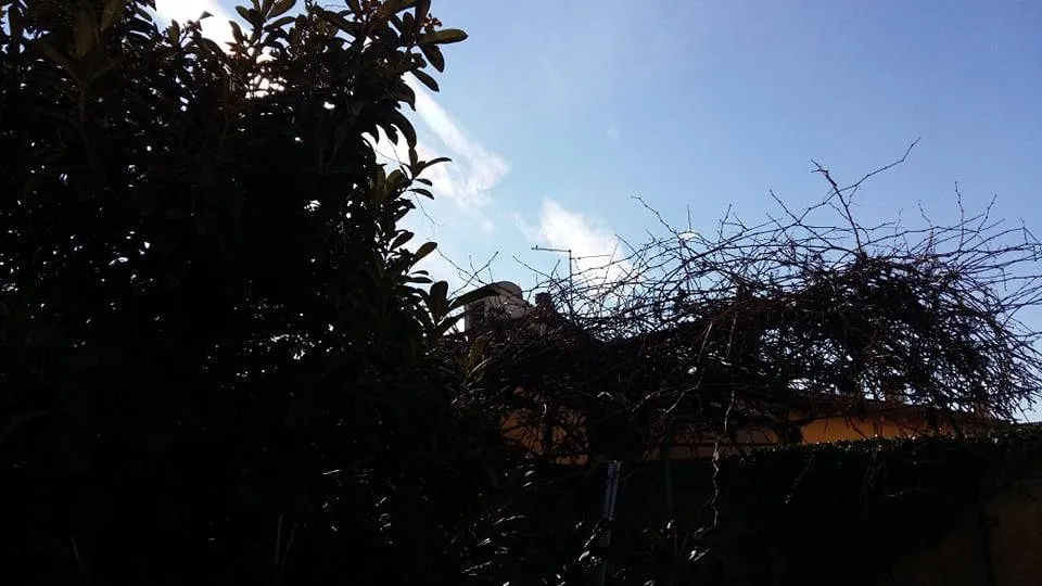 Casa indipendente in vendita a Poggio a Caiano - Centro - foto 2