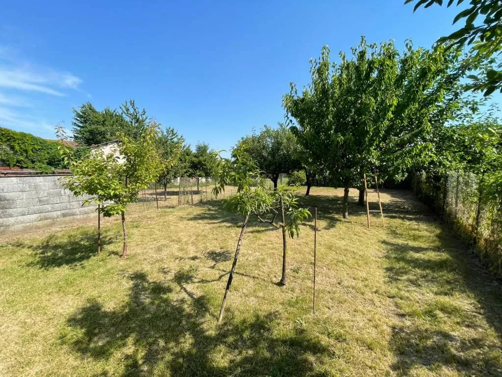 Villetta a schiera in vendita a Vercelli - Cappuccini - foto 5