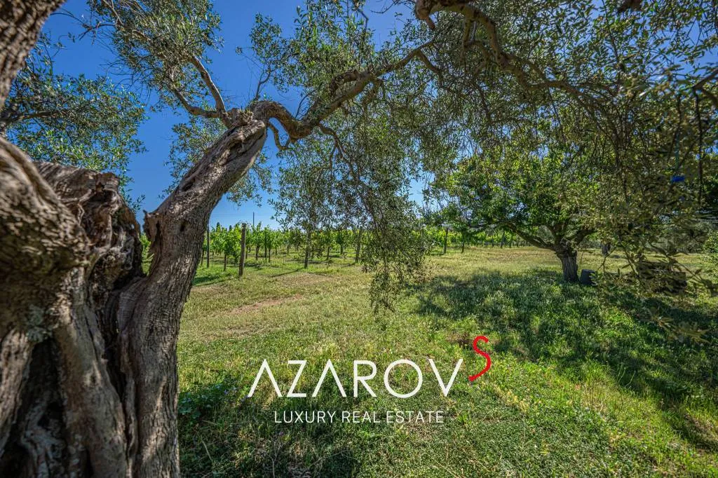Villa in vendita a Viterbo - Monterazzano, Castel d'Asso, Tuscanese - foto 9