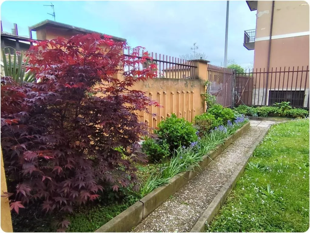 Appartamento in vendita a Baranzate - foto 3