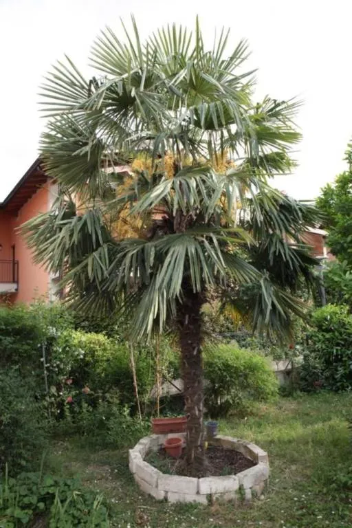 Appartamento in vendita a Certosa di Pavia - foto 6