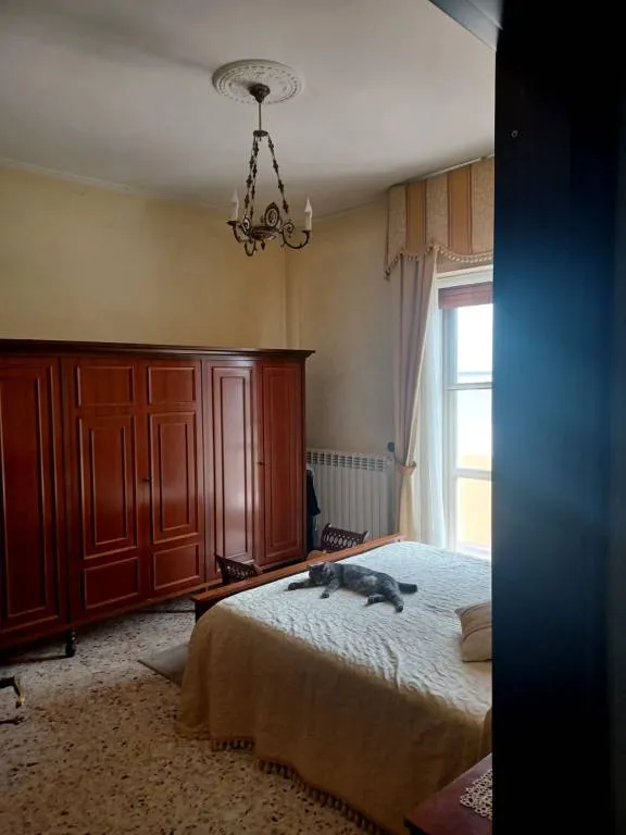 Appartamento in vendita a San Giorgio del Sannio - Centro - foto 9