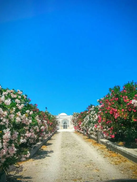 Rustico in vendita a Ostuni - Santa Caterina, Ramunno, Chianchizzo - foto 2