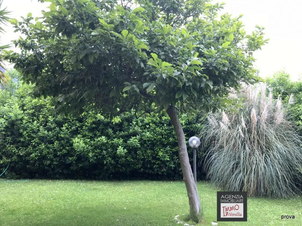 Villa in vendita a Massarosa - Stiava - foto 2