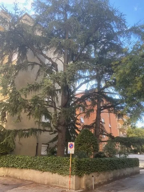 Appartamento in vendita a Foligno - foto 3