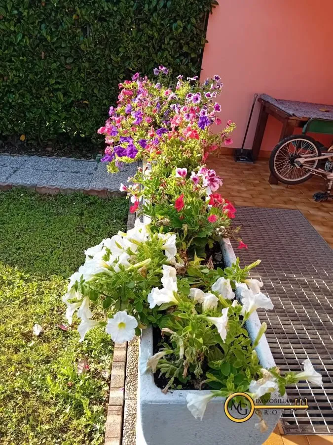 Villetta a schiera in vendita a Liscate - foto 5