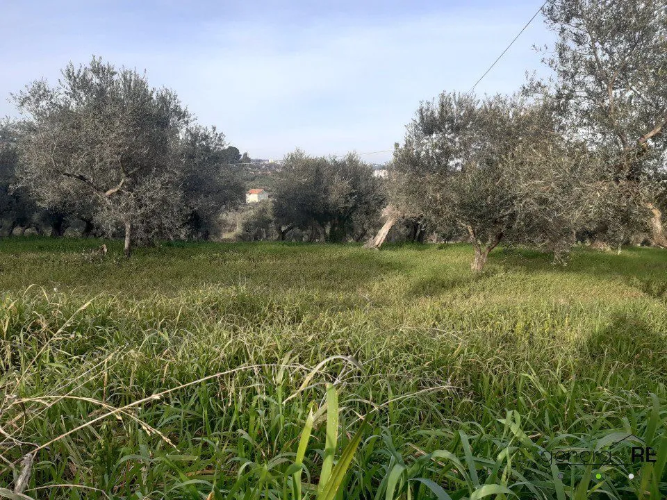 Rustico in vendita a Spoltore - foto 9
