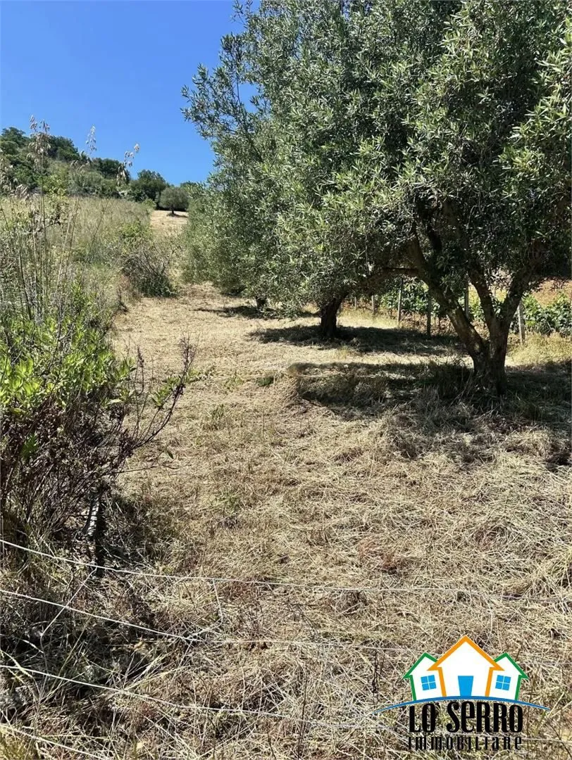 Rustico in vendita a Alcamo - foto 7