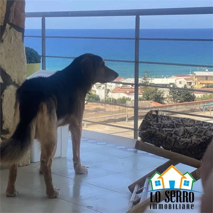 Appartamento in vendita a Alcamo - foto 3