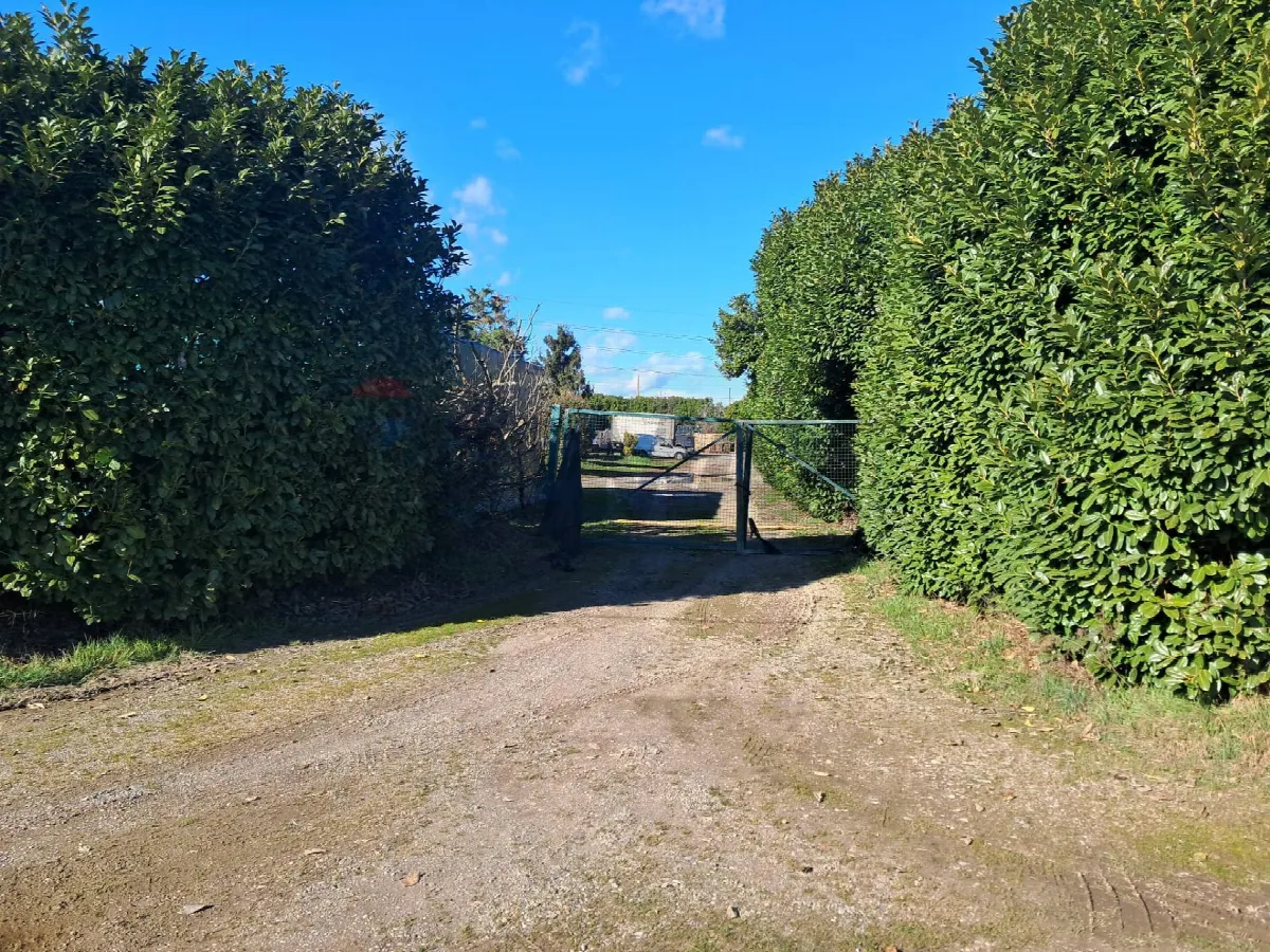 Fattoria in vendita a Marcallo con Casone, Barco - foto 4