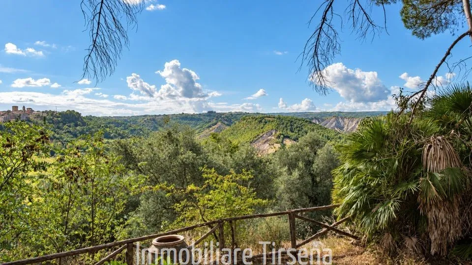 Villa in vendita a Civitella d'Agliano - foto 3
