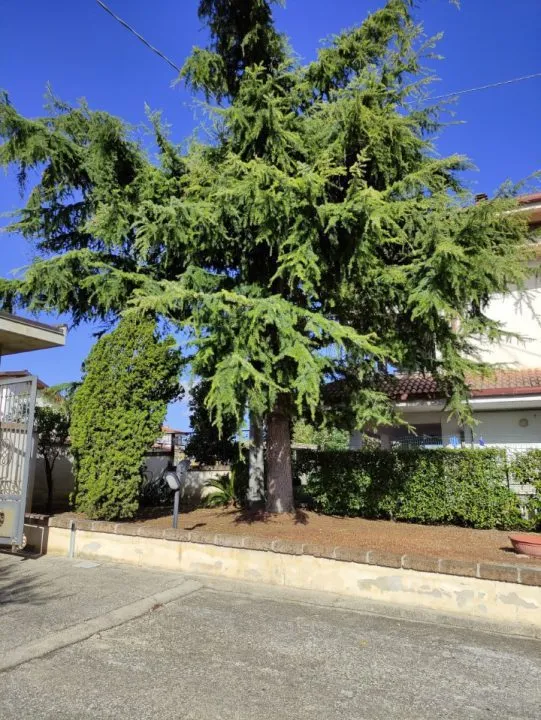Villa in vendita a Rosciano - Villa Oliveti - foto 3