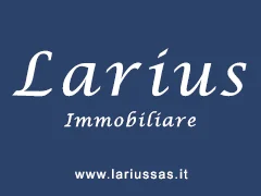 Larius sas