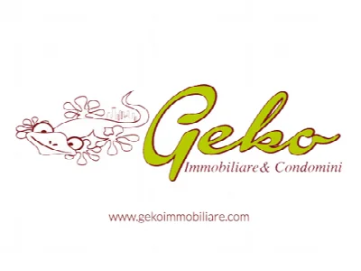 Geko immobiliare